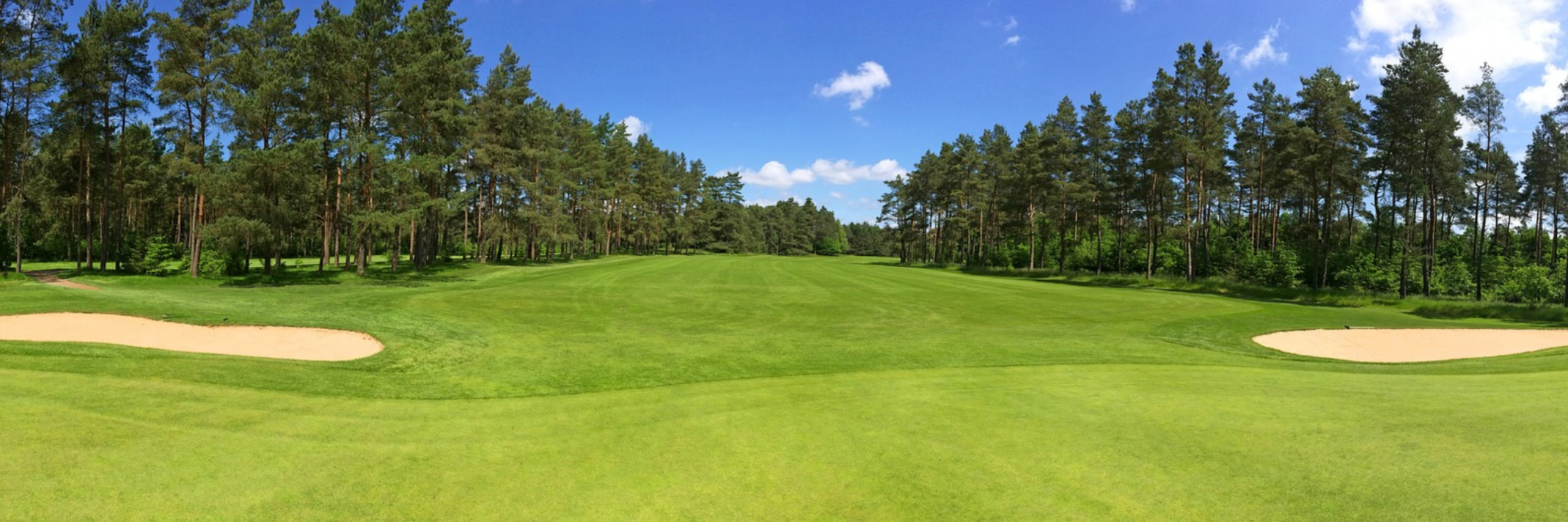 Golf course on a summer day